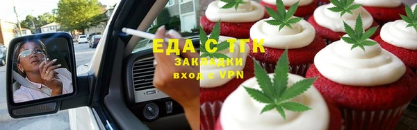 шишки Осинники