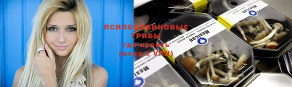 ПСИЛОЦИБИНОВЫЕ ГРИБЫ Усолье-Сибирское