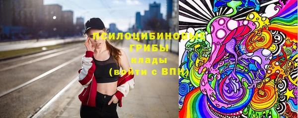ПСИЛОЦИБИНОВЫЕ ГРИБЫ Усолье-Сибирское