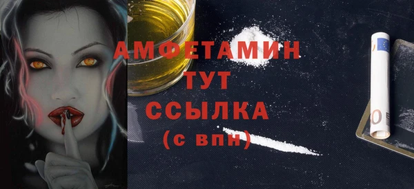шишки Осинники
