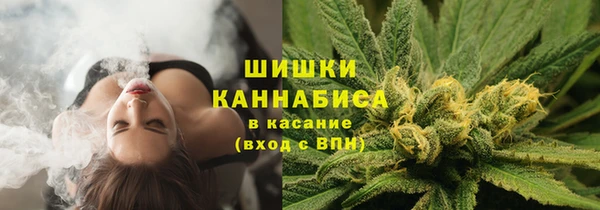 трава Переславль-Залесский